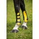 NORTON Competition tendon and fetlock boots set