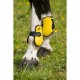 NORTON Competition tendon and fetlock boots set