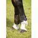 NORTON Carbone tendon and fetlock boots set